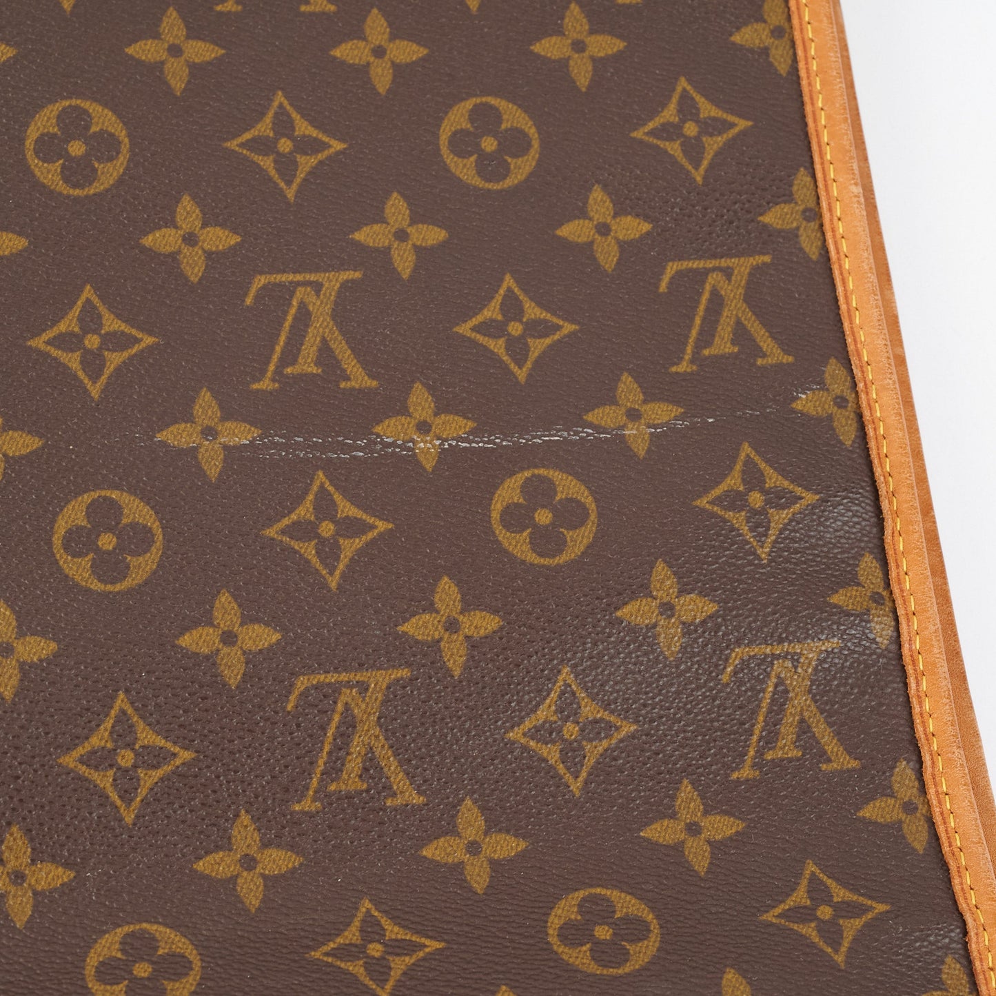 Louis Vuitton Garment Cover Monogram