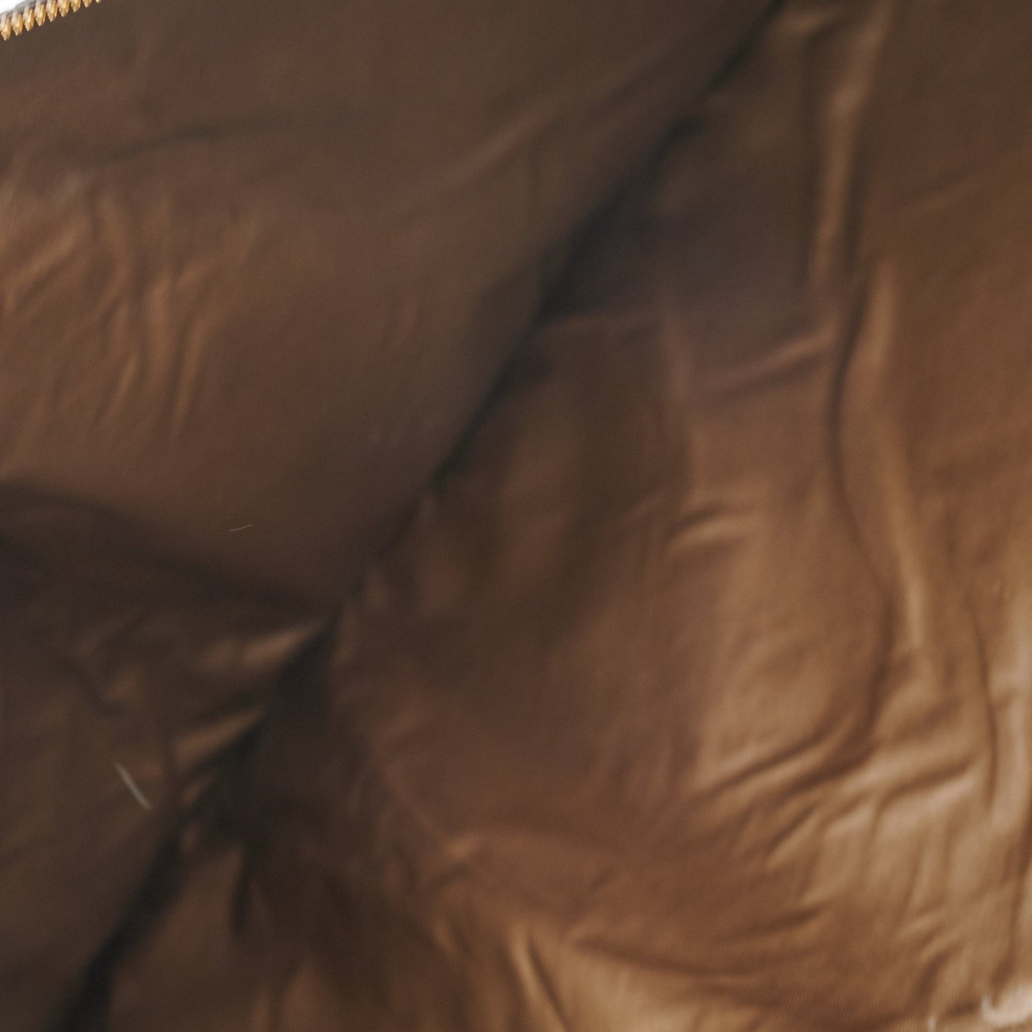 Louis Vuitton Garment Cover Monogram