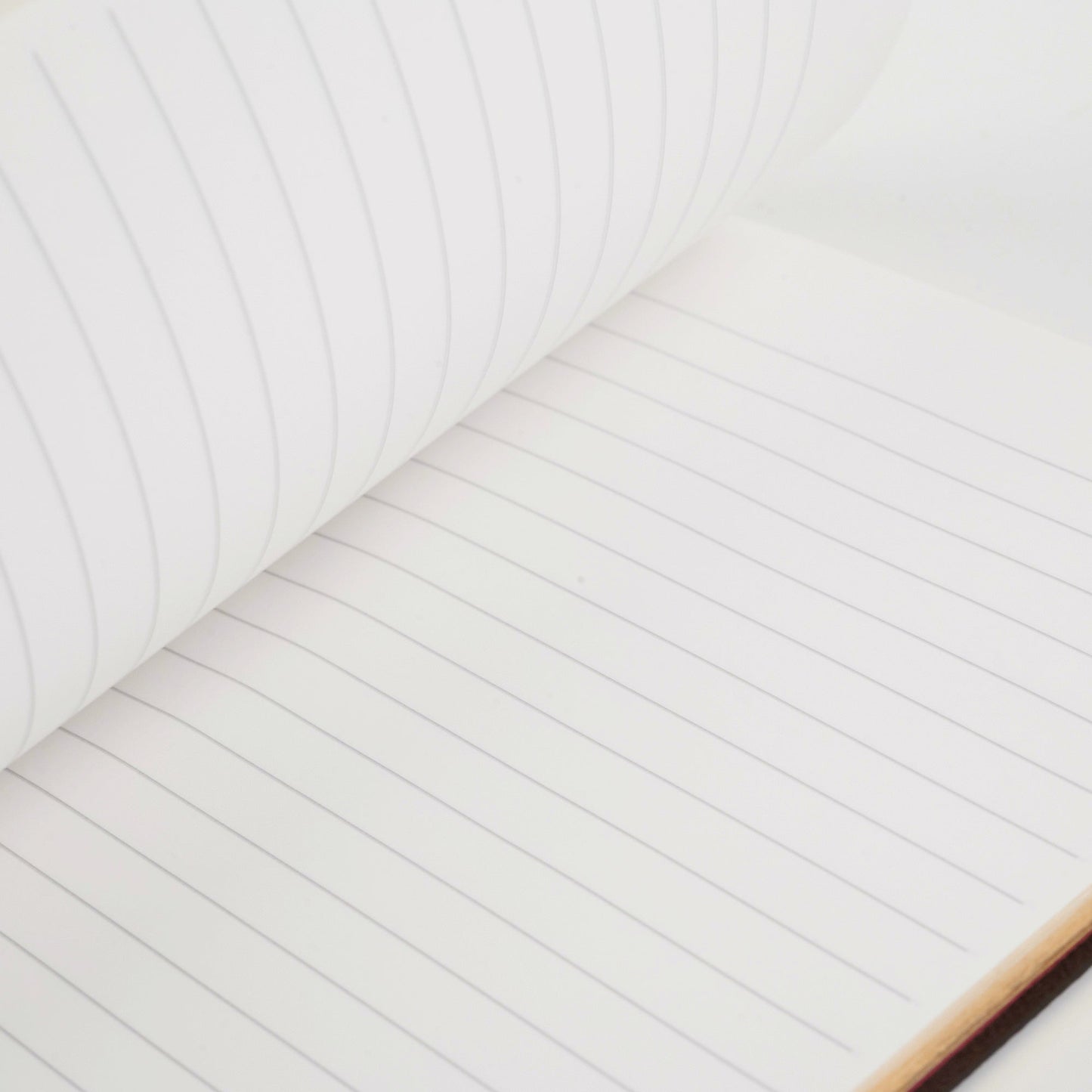 Louis Vuitton Christmas Animation Notebook (Paris)
