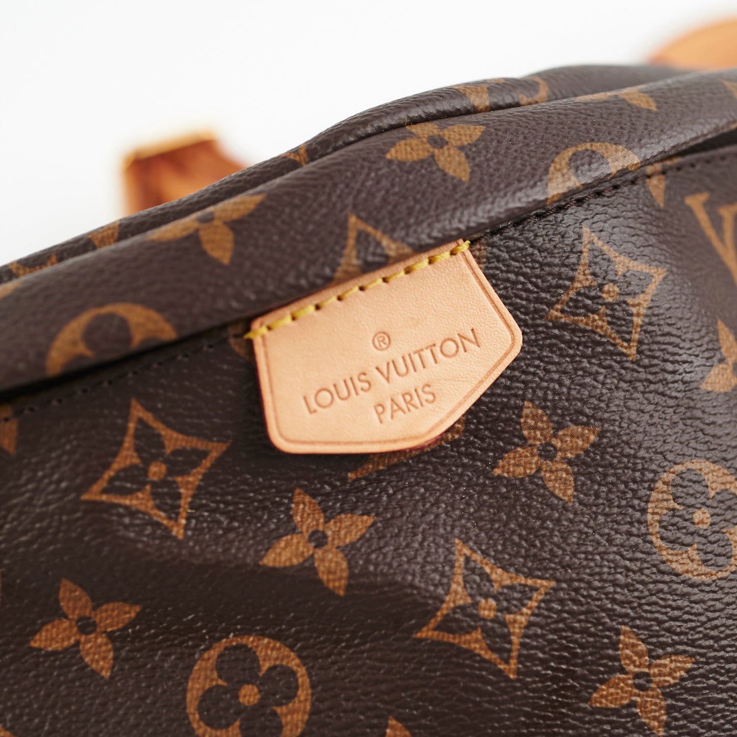 Louis Vuitton Bum bag MM Monogram
