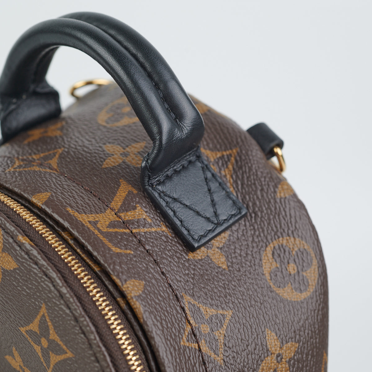 ITEM 8 - Louis Vuitton Palm Spring Mini Monogram (New Zip Style)