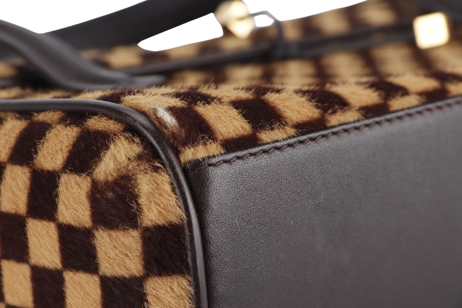 LOUIS VUITTON DAMIER SAUVAGE LIONNE SATCHEL (M92131) NO DUST COVER