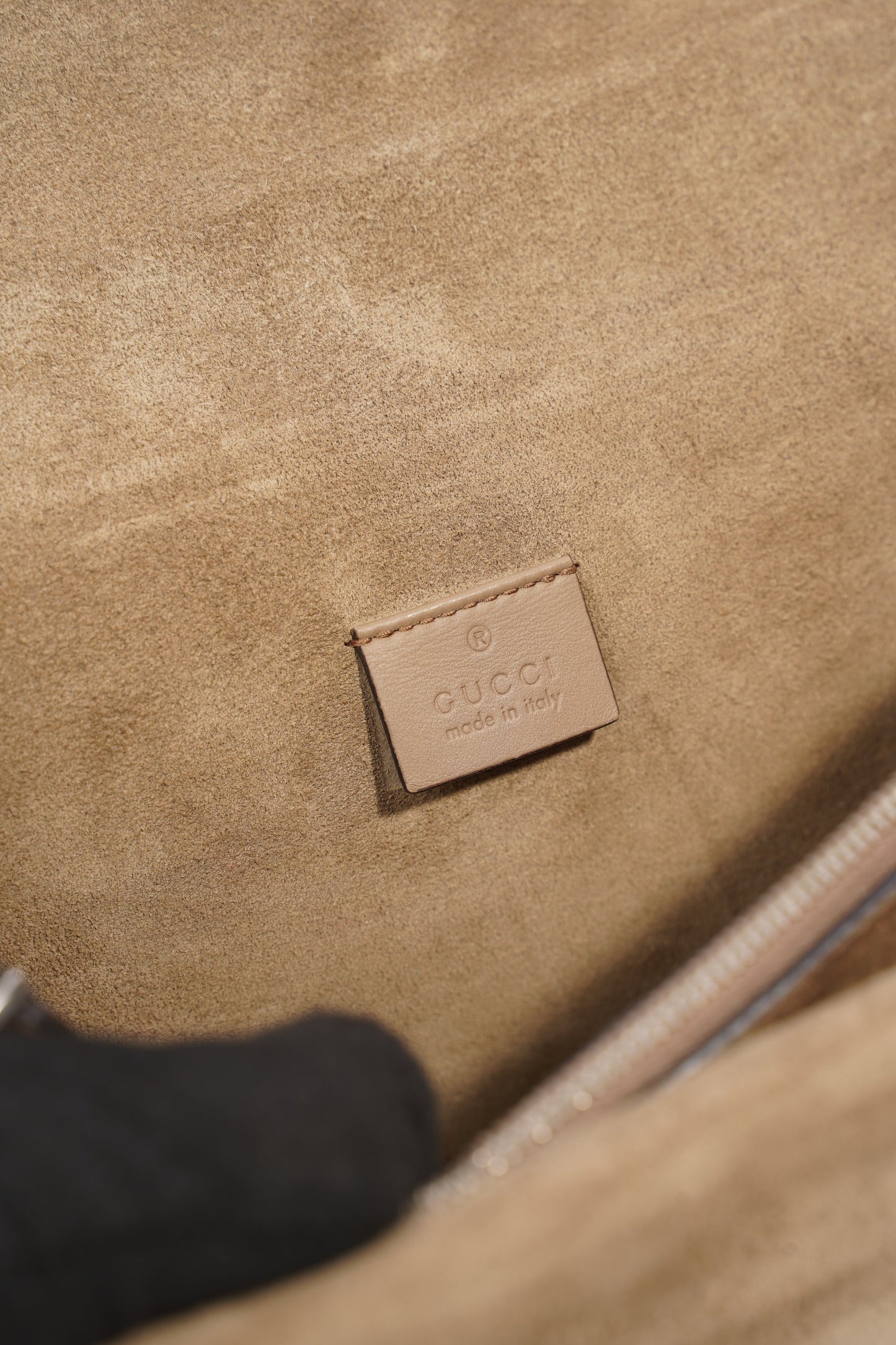 Gucci Dionysus Supreme Coated Canvas Small