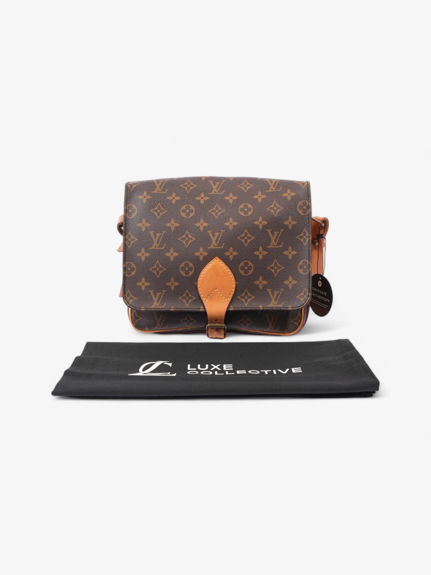Louis Vuitton Cartouchiere  Monogram Coated Canvas