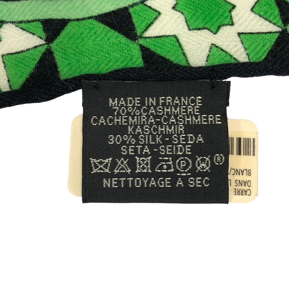 HERMES scarf Cashmere, Silk green Amazone Dance Caregean