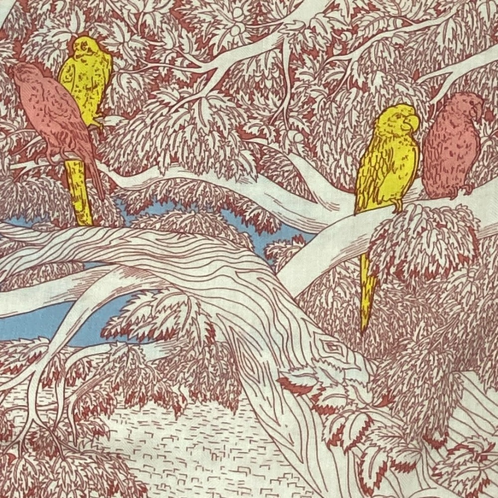 HERMES scarf Cashmere, Silk Red Retour a la Nature Caregean