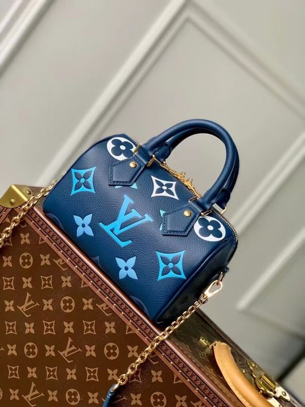 Alice bags - Louis Vuittons  - 15364