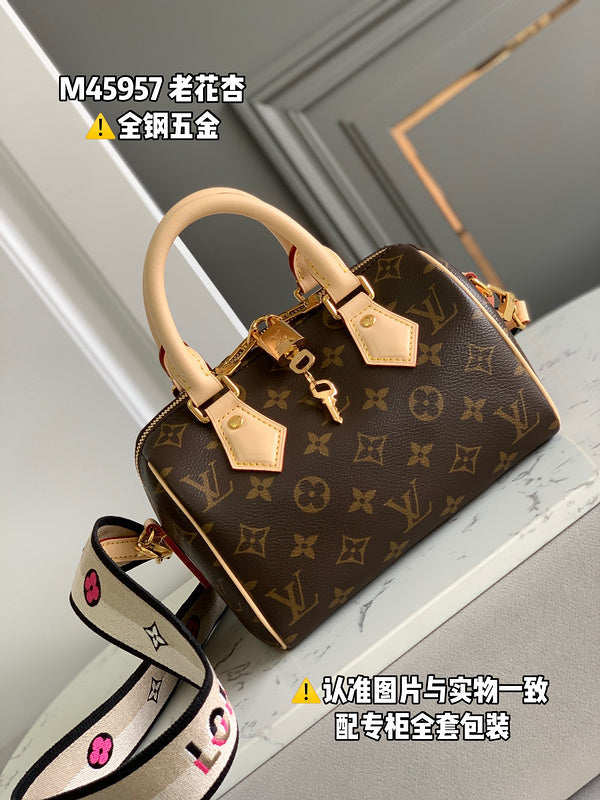 Alice Bags- Louis Vuittons  - 16455