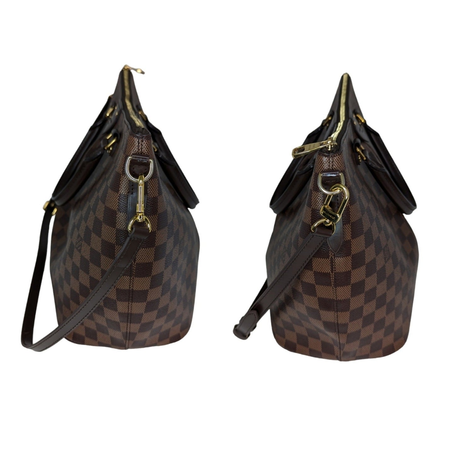 Louis Vuitton Damier Ebene Siena MM Bag