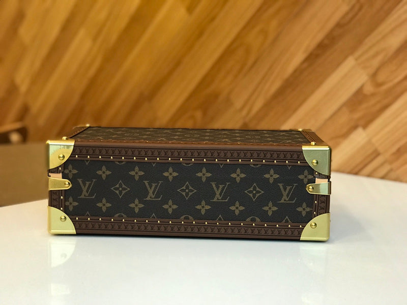 Alice  Bags- Louis Vuittons  - 16001
