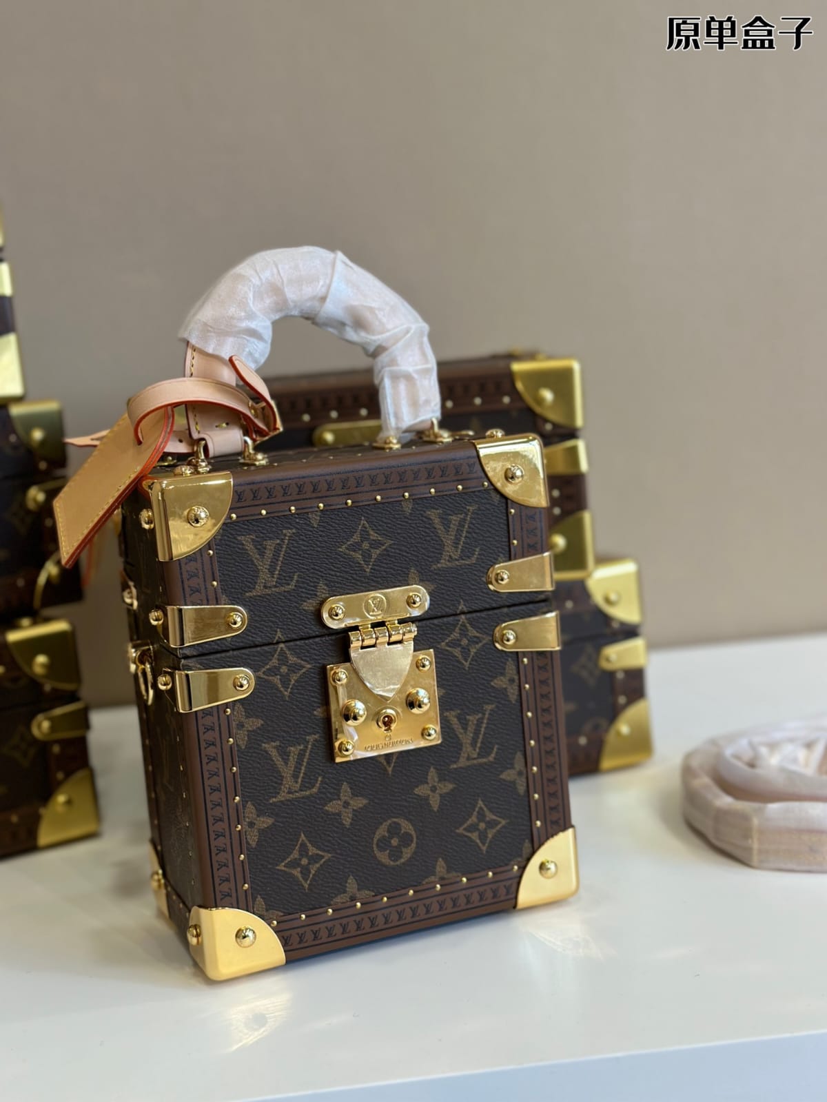 Louis Vuitton Camera Box Handbag ( Lushentic Version )