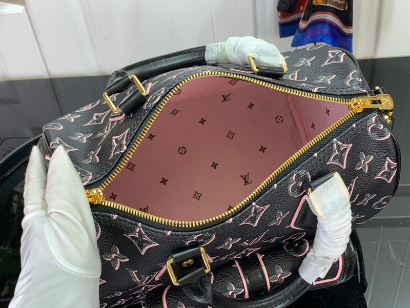 Alice Bags- Louis Vuittons  - 16378