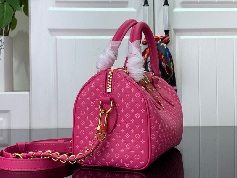 Alice bags - Louis Vuittons  - 15635