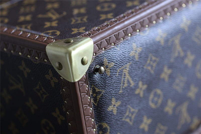 Alice bags - Louis Vuittons  - 9515