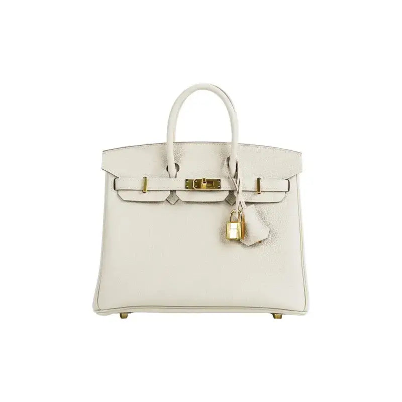 HERMES Birkin 25 Bag Milkshake White togo Leather Handbag (25,28)  gold hardware