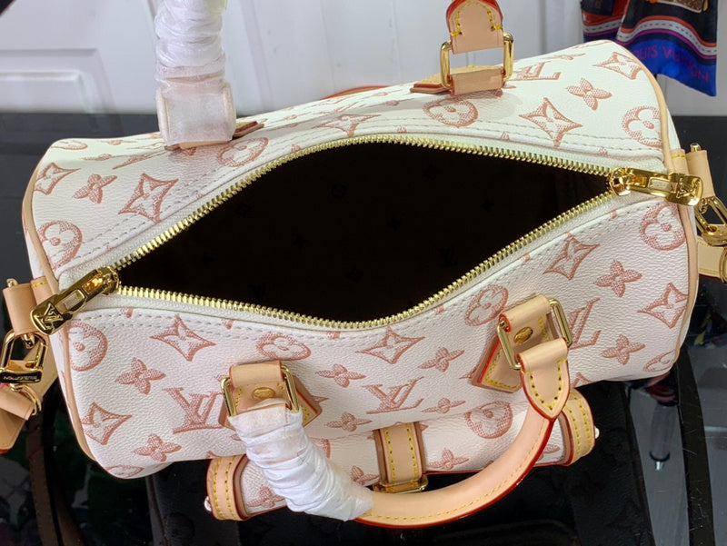 Alice Bags- Louis Vuittons  - 16377