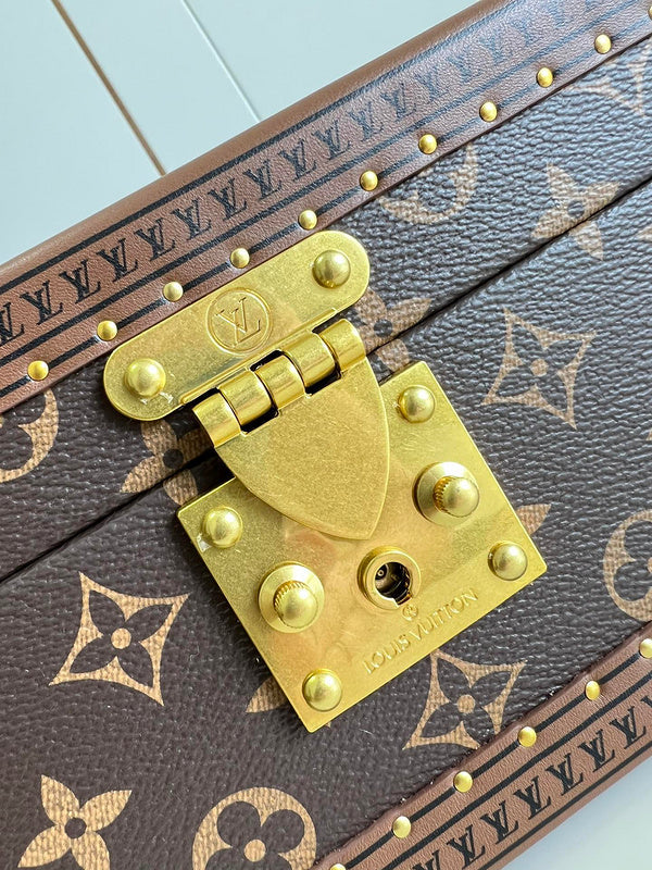 Alice Bags- Louis Vuittons  - 16222