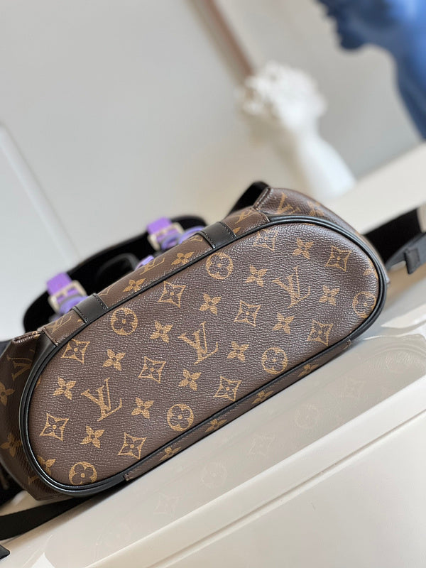 Alice Bags- Louis Vuittons  - 16258