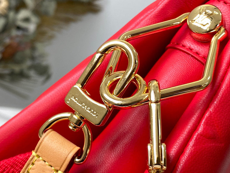 Alice Bags- Louis Vuittons  - 16333