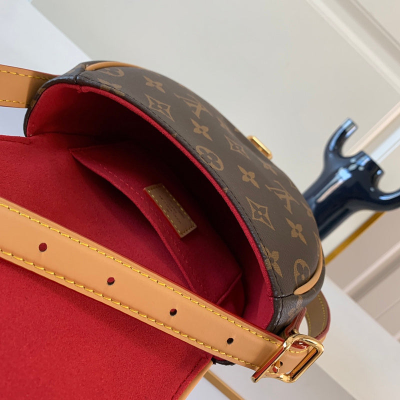 Alice Bags- Louis Vuittons  - 16248