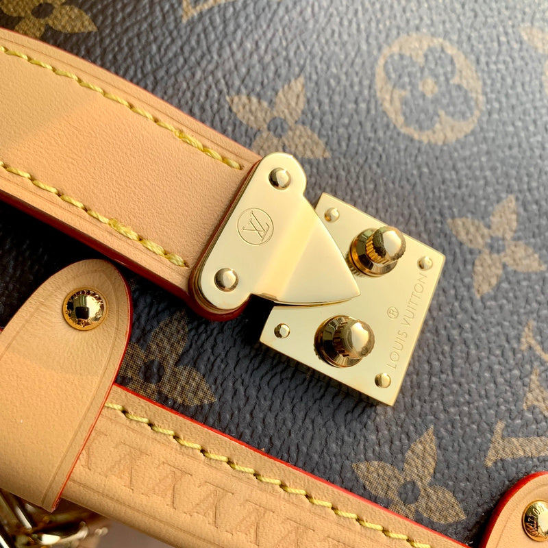 Alice bags - Louis Vuittons  - 15507