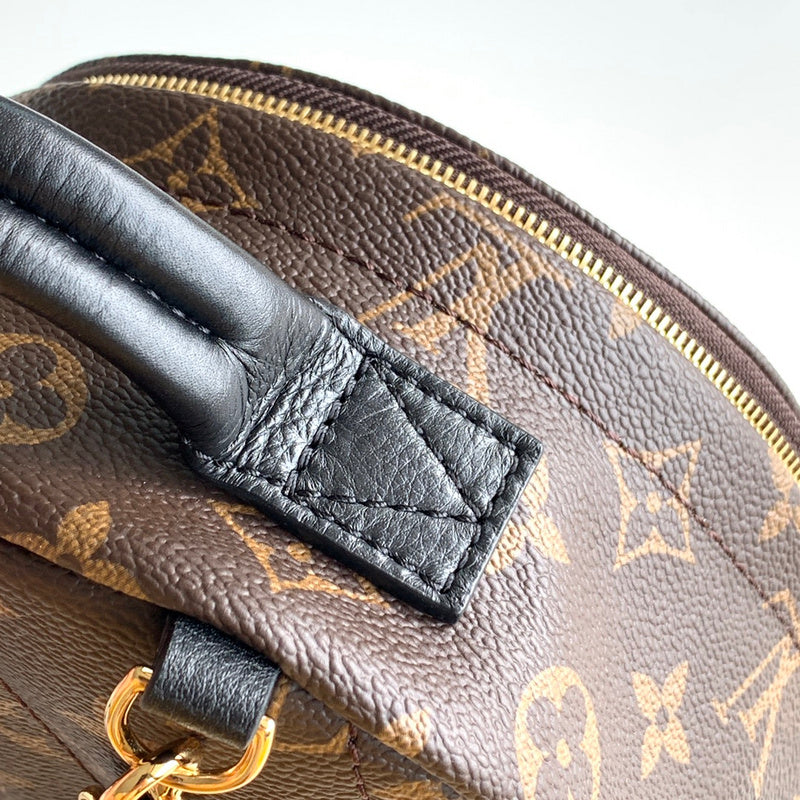 Alice Bags- Louis Vuittons  - 16303