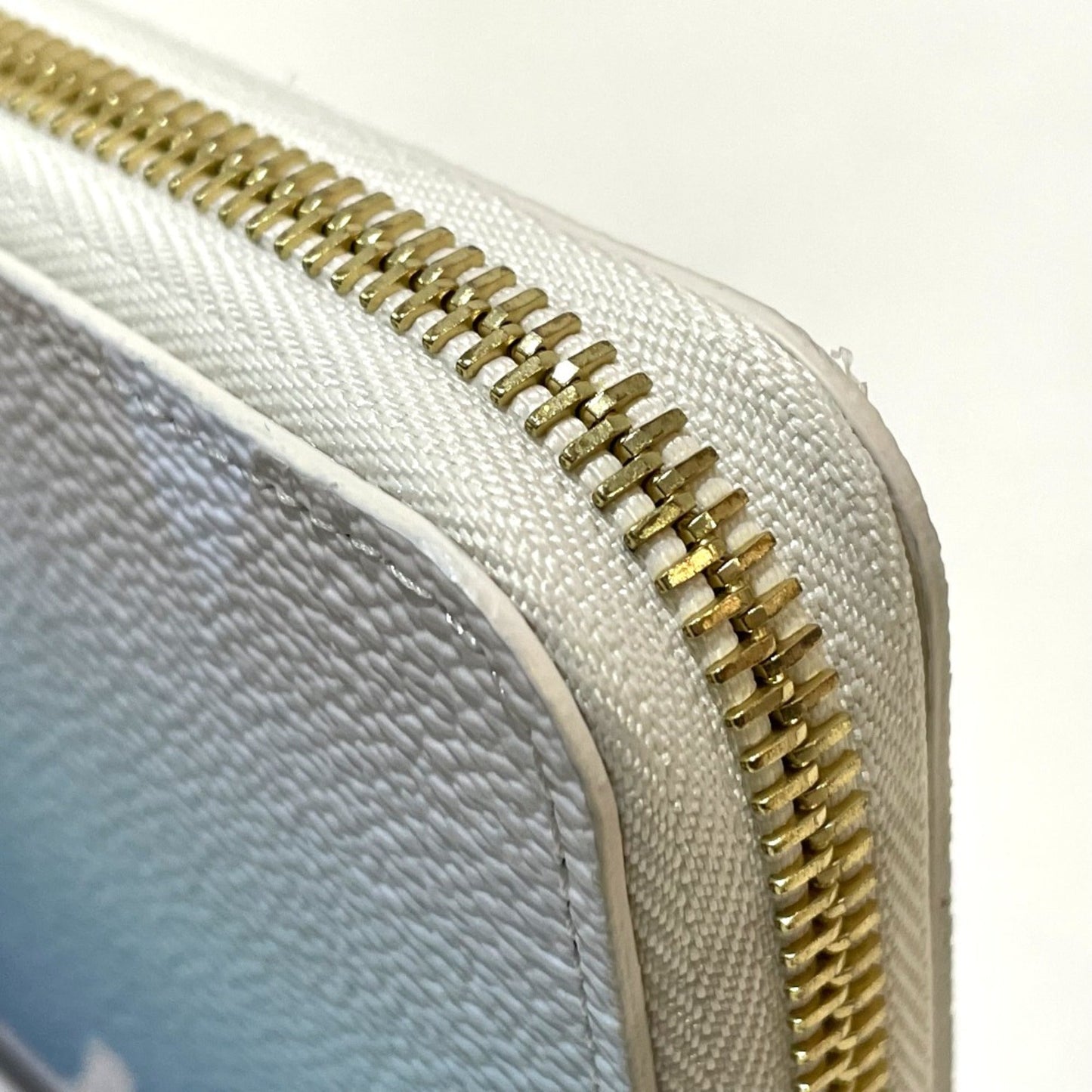 Louis Vuitton  Other Long Wallet (Bi-Fold)