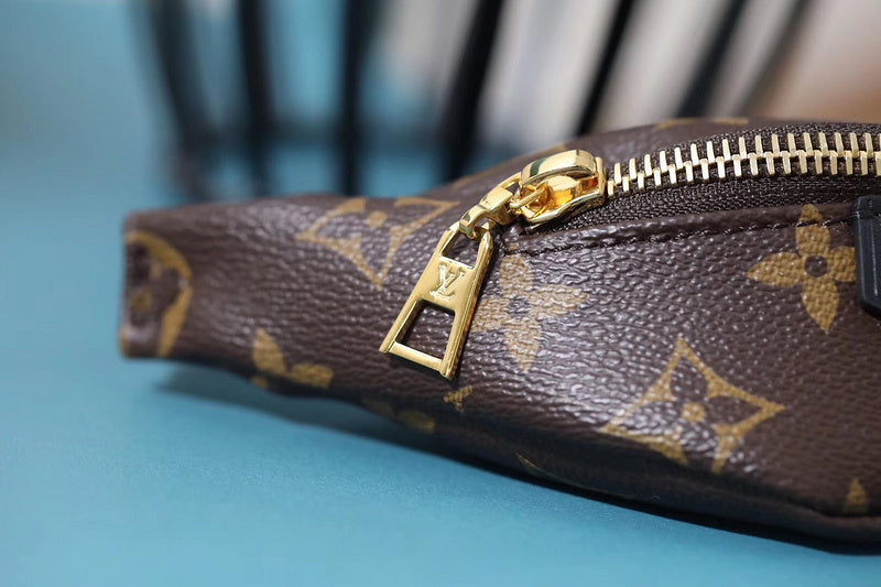 Alice bags - Louis Vuittons  - 10344