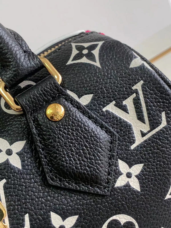 Alice bags- Louis Vuittons  - 16774