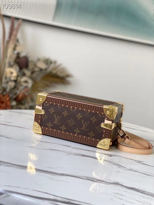 Alice Bags- Louis Vuittons  - 16511