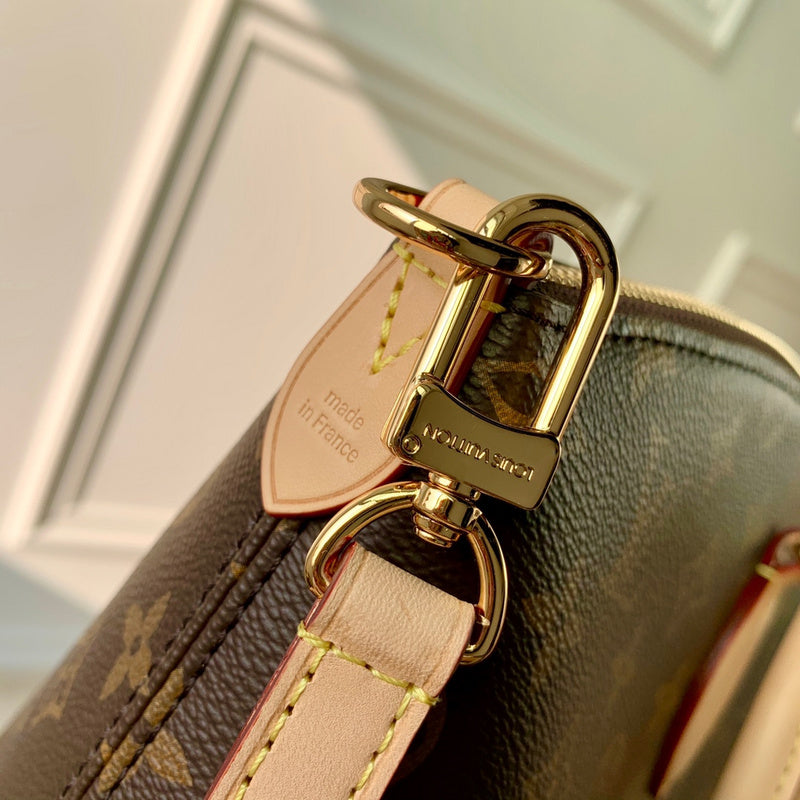 Alice Bags- Louis Vuittons  - 16599