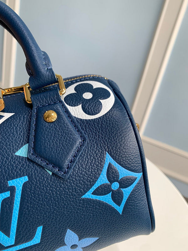 Alice bags - Louis Vuittons  - 15163
