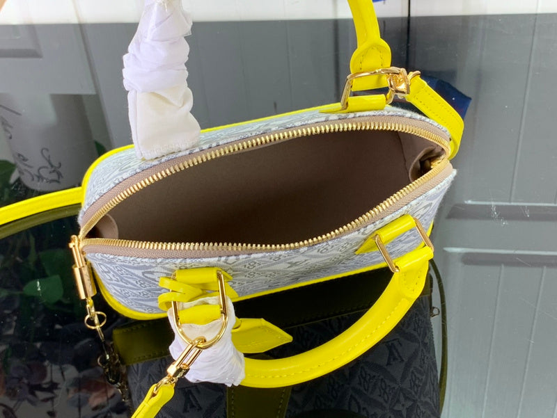 Alice bags - Louis Vuittons  - 15629