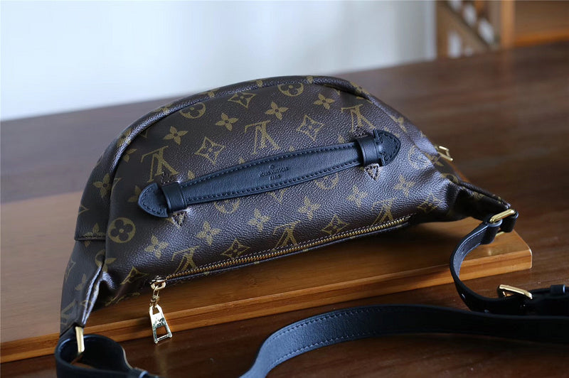 Alice bags - Louis Vuittons  - 10365