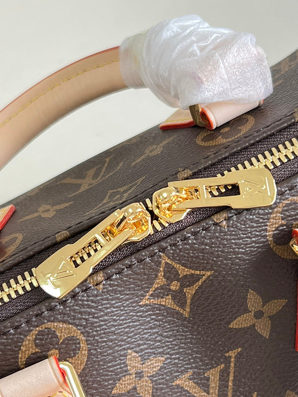 Alice Bags- Louis Vuittons  - 16471