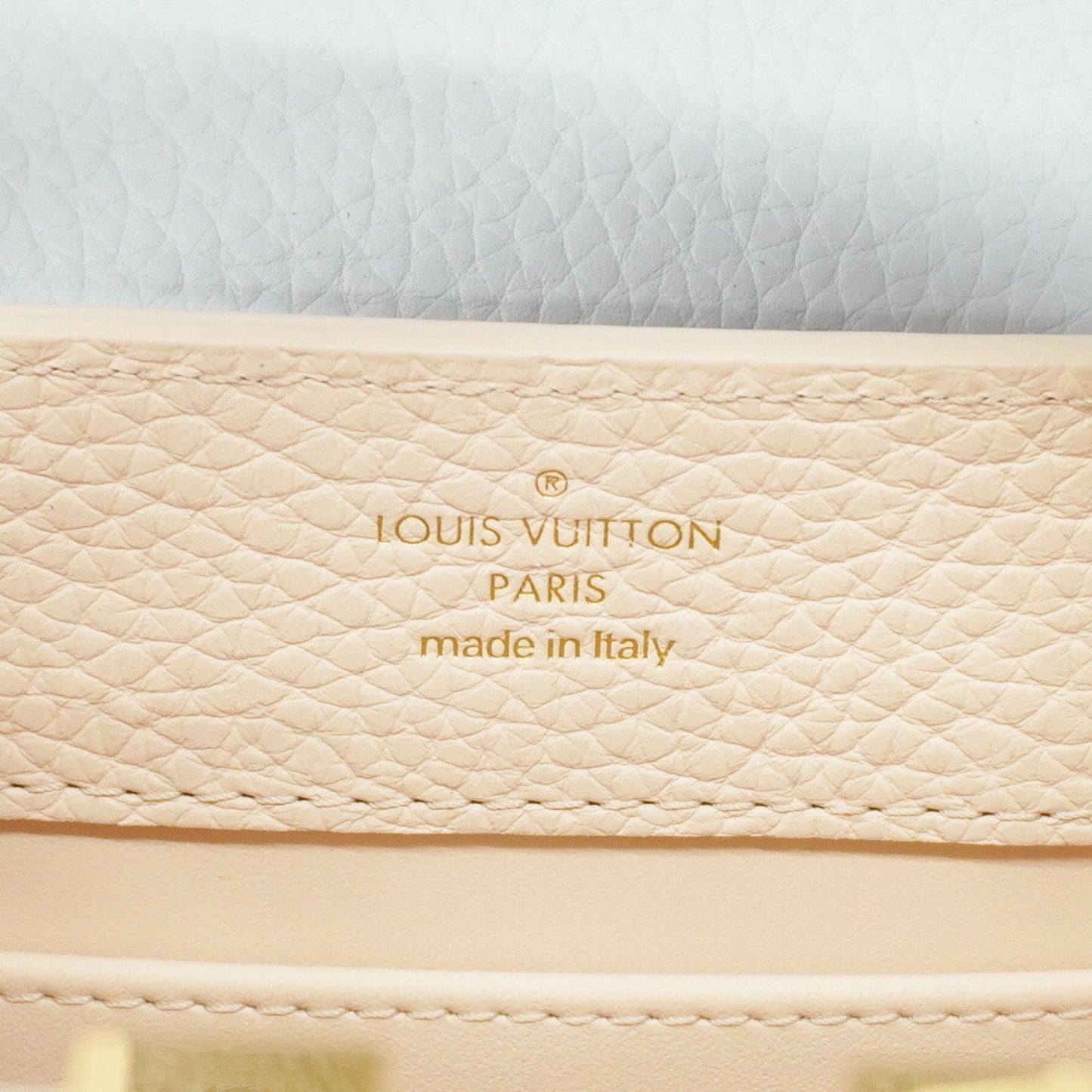 Louis Vuitton Handbag
