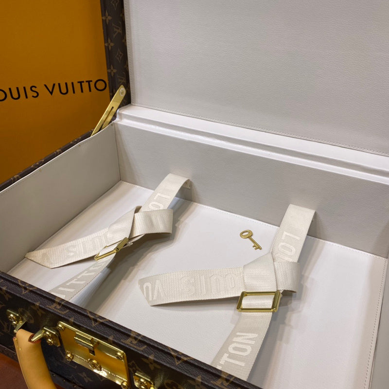 Alice bags - Louis Vuittons  - 9495