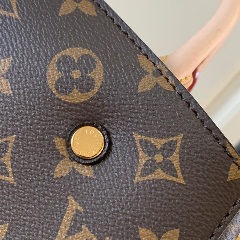 Alice Bags- Louis Vuittons  - 16299