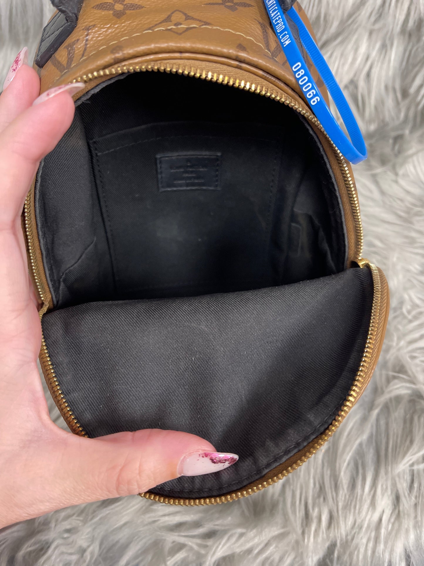 Backpack Luxury Designer By Louis Vuitton  Size: Small