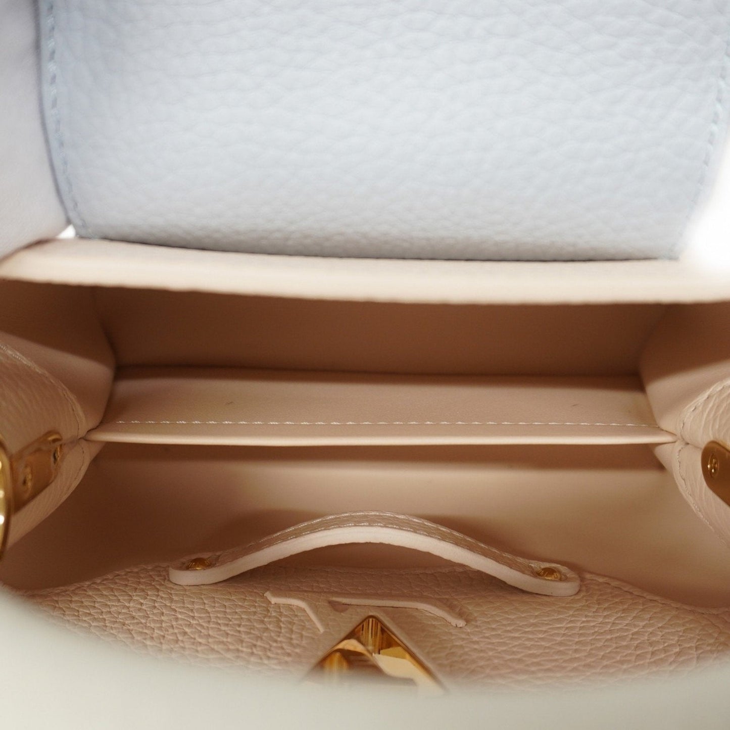 Louis Vuitton Handbag