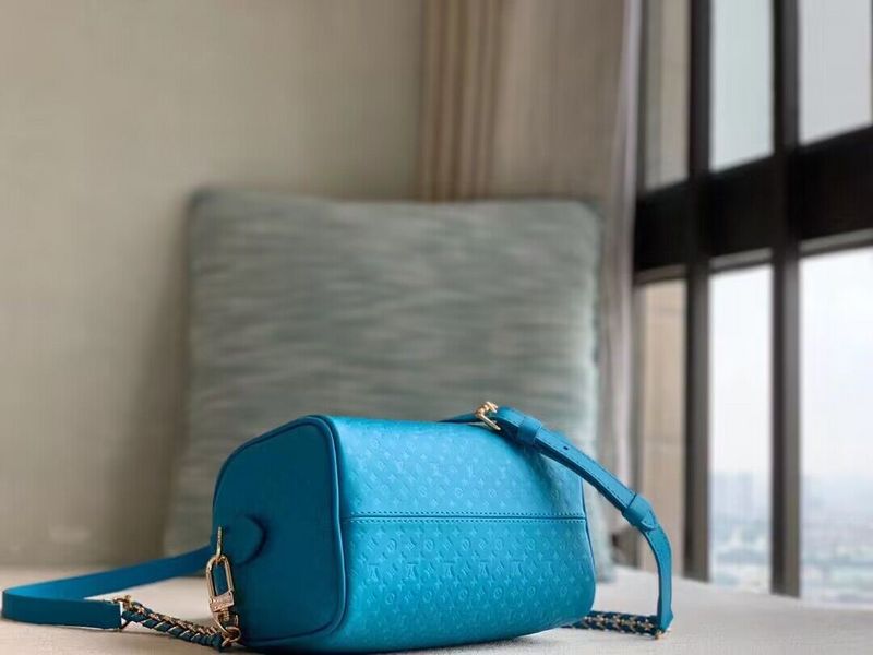 Alice bags - Louis Vuittons  - 15614
