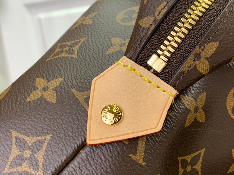 Alice bags - Louis Vuittons  - 15810