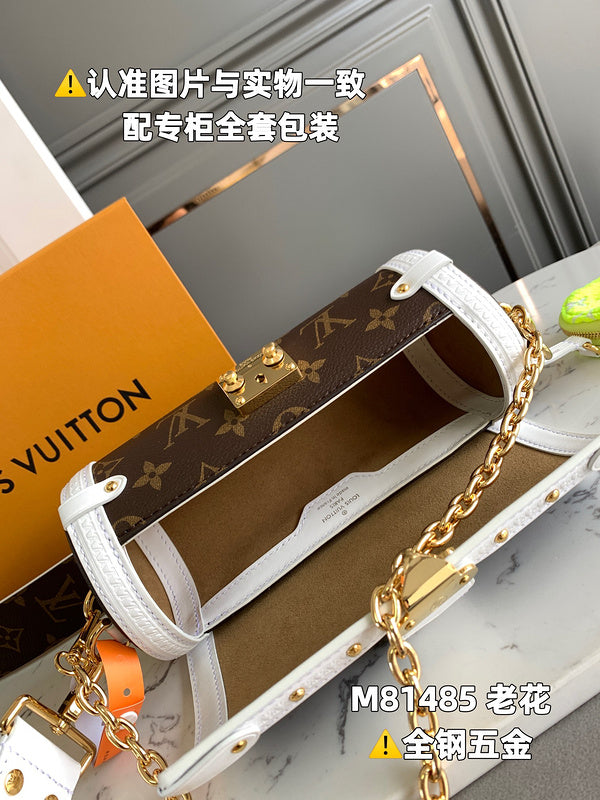 Alice Bags- Louis Vuittons  - 15955