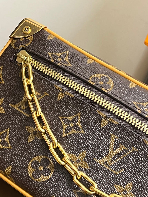 Alice Bags- Louis Vuittons  - 16137