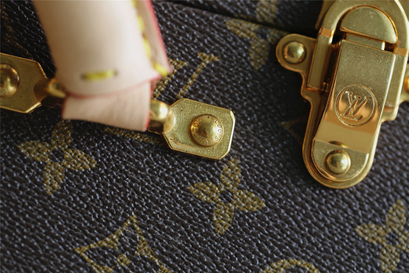 Alice bags - Louis Vuittons  - 9516