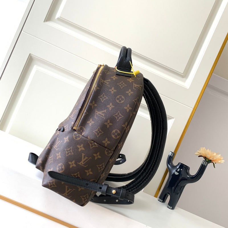 Alice bags - Louis Vuittons  - 15356