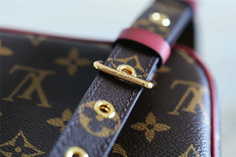 Alice bags - Louis Vuittons  - 10503