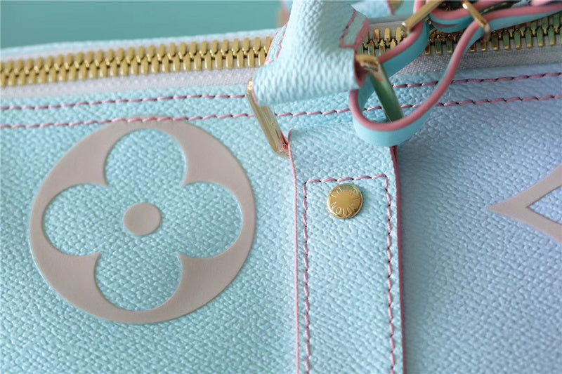 Alice bags - Louis Vuittons  - 9431