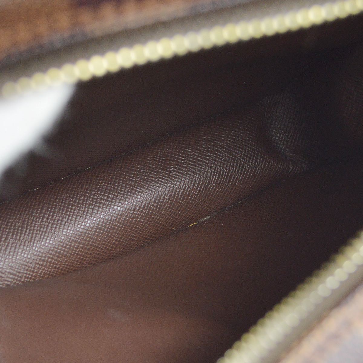 Louis Vuitton 2009 Amazon Damier N48074