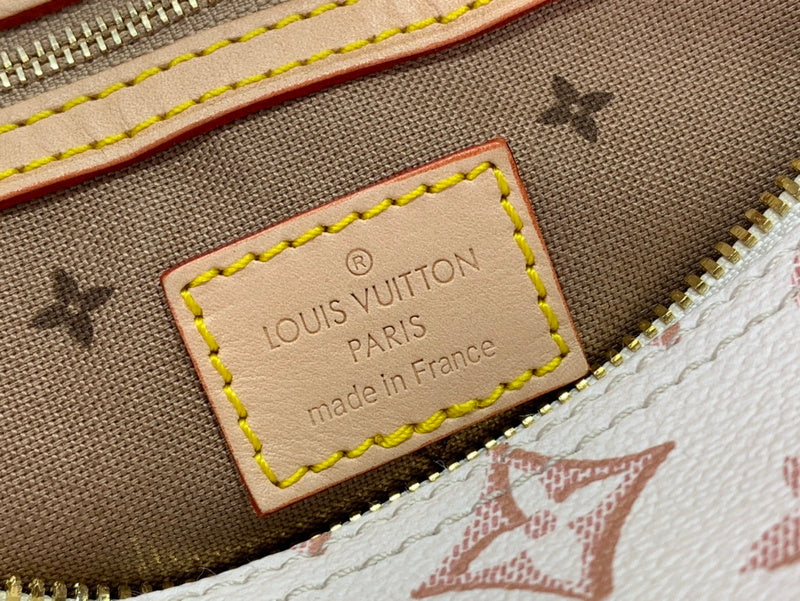 Alice Bags- Louis Vuittons  - 16377